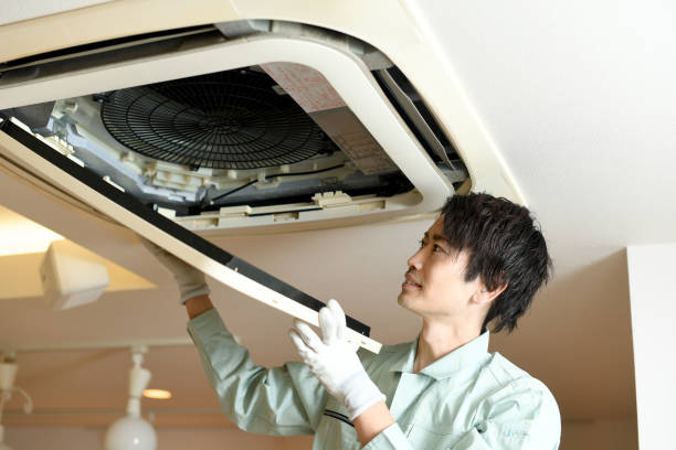 Best Air Duct Sanitizing Services  in Salem, AR