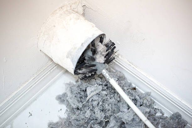 Best Emergency Air Duct Cleaning  in Salem, AR